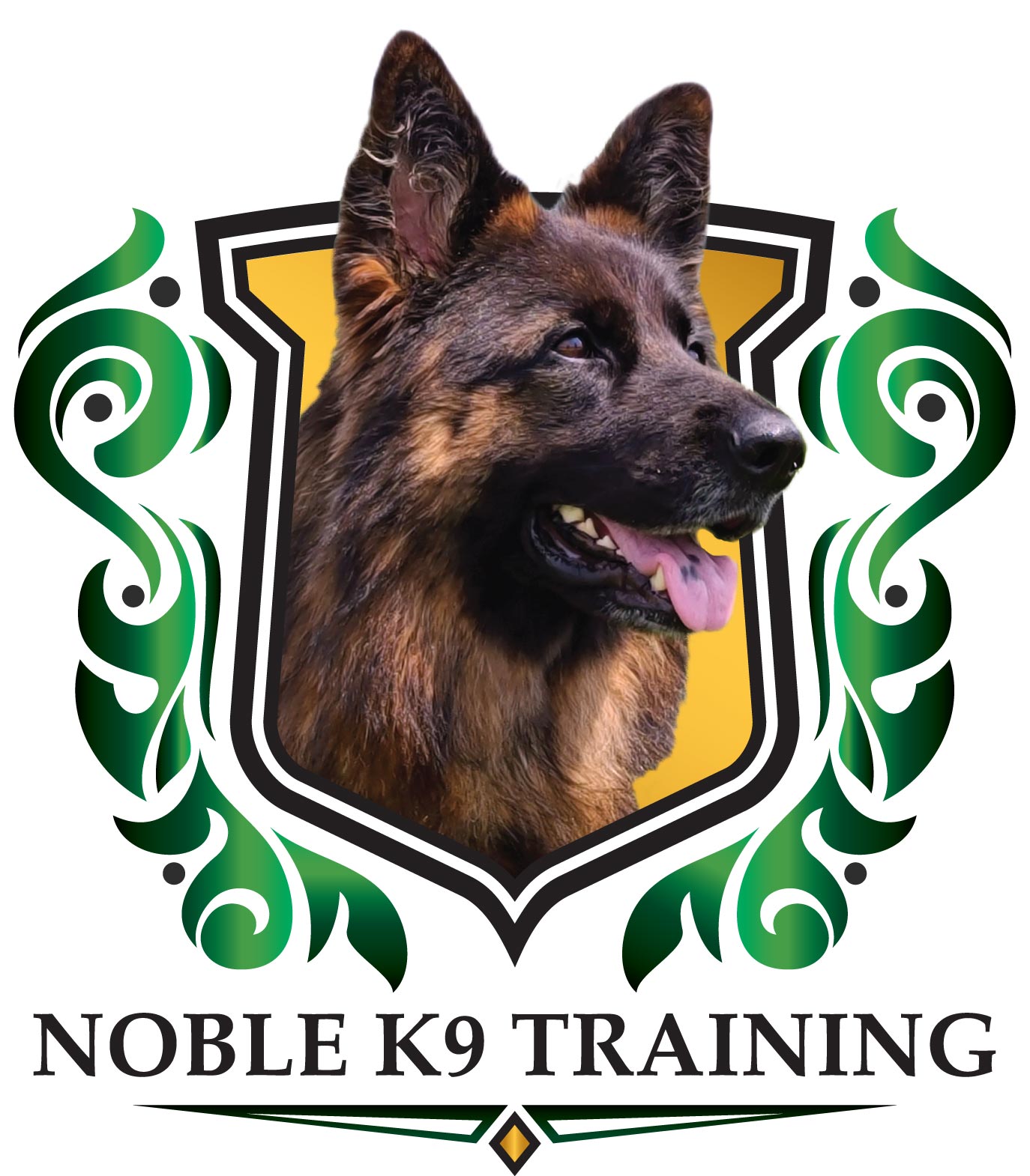 Go Anywhere with Your Dog Noble K9 Training Columbus, OH